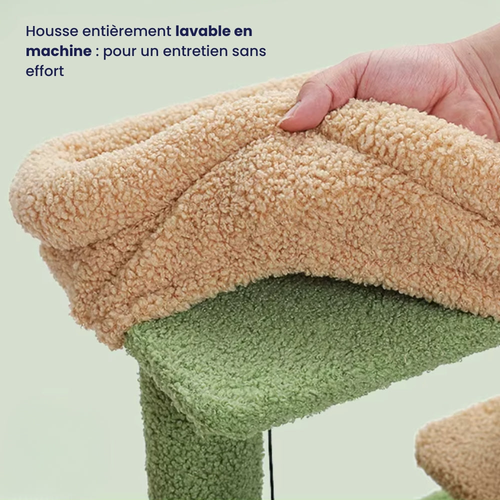 Arbre À Chat - Paddy