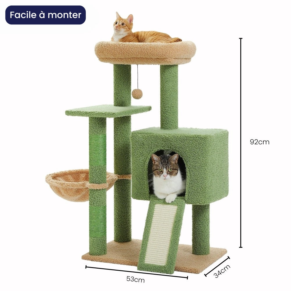 Arbre À Chat - Paddy