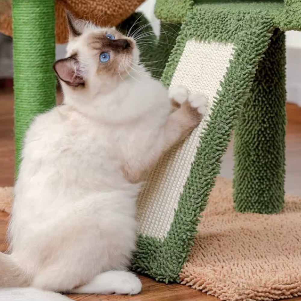 Arbre À Chat - Youna