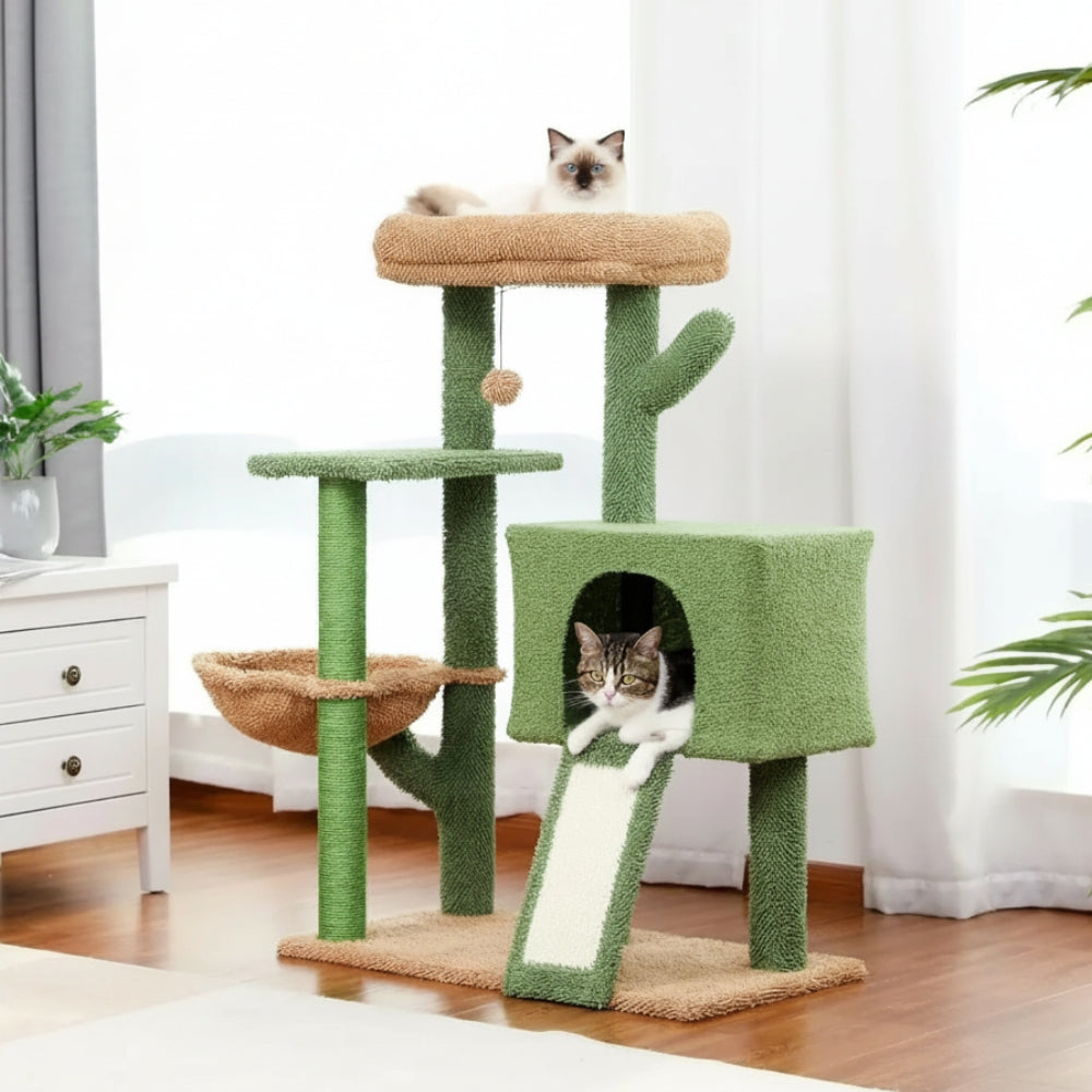 Arbre À Chat - Youna