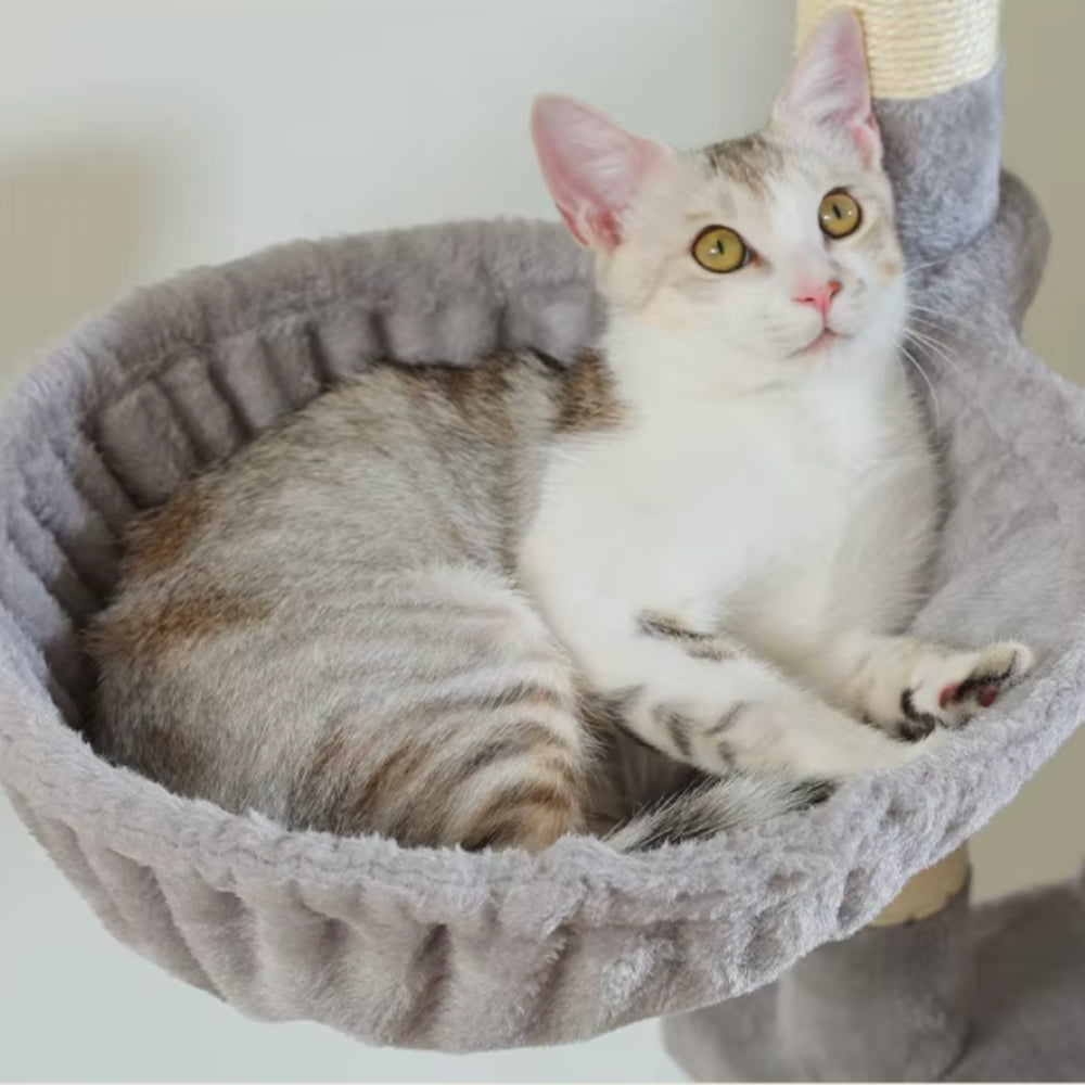 Arbre À Chat - Athéna