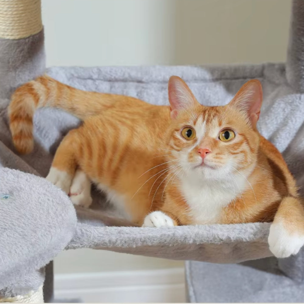 Arbre À Chat - Athéna