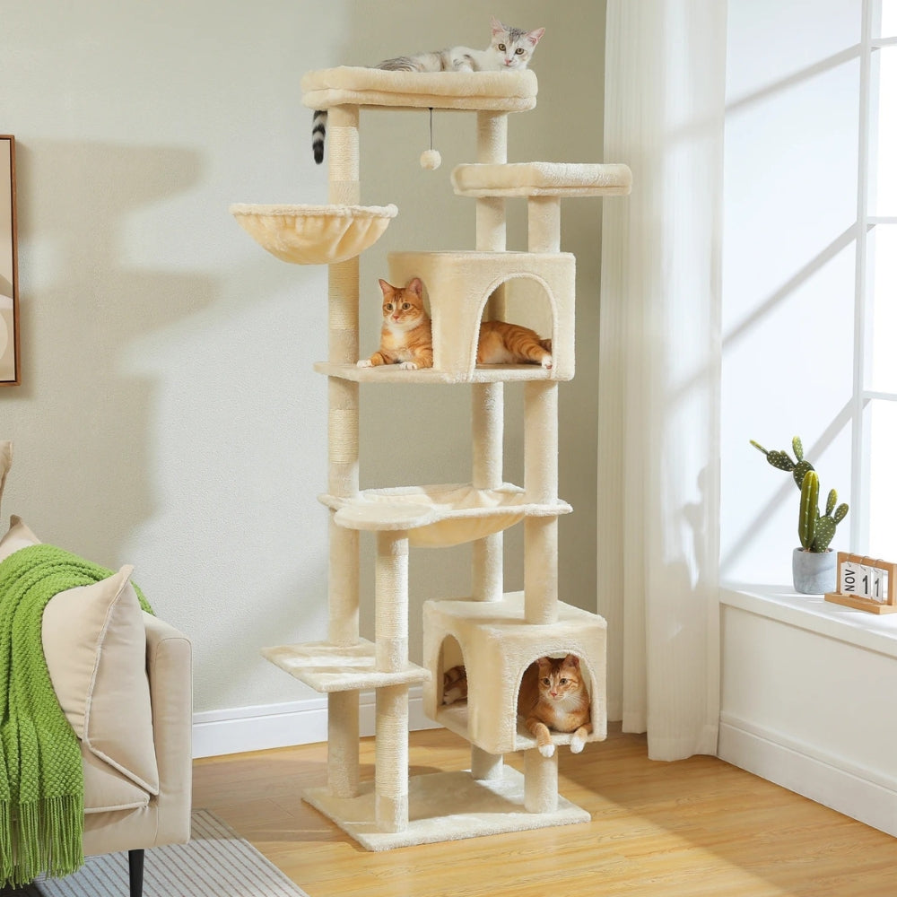 Arbre À Chat - Athéna