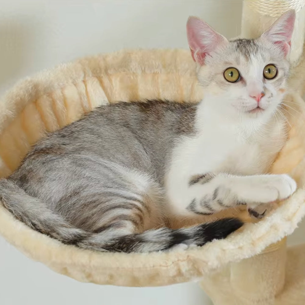 Arbre À Chat - Athéna