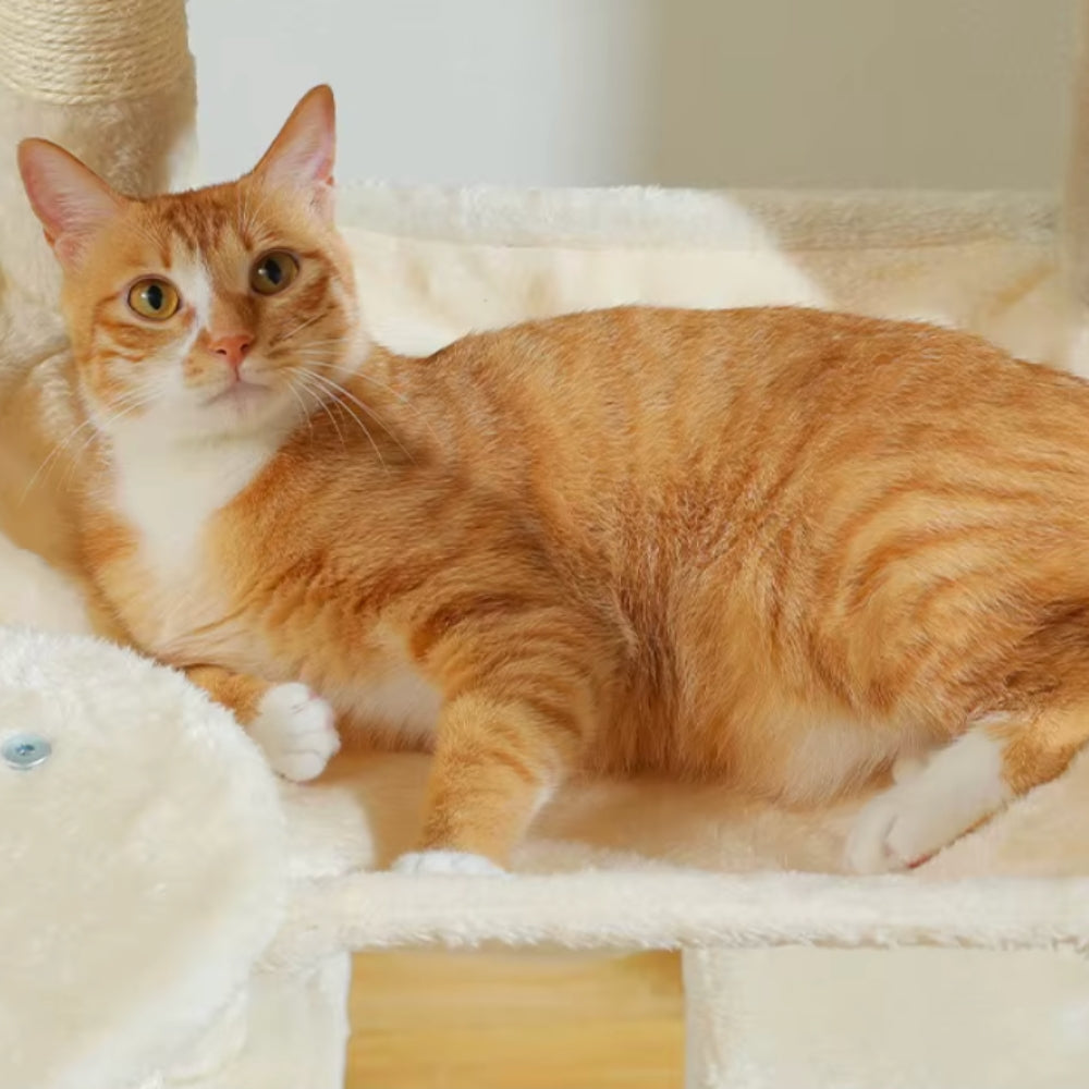 Arbre À Chat - Athéna