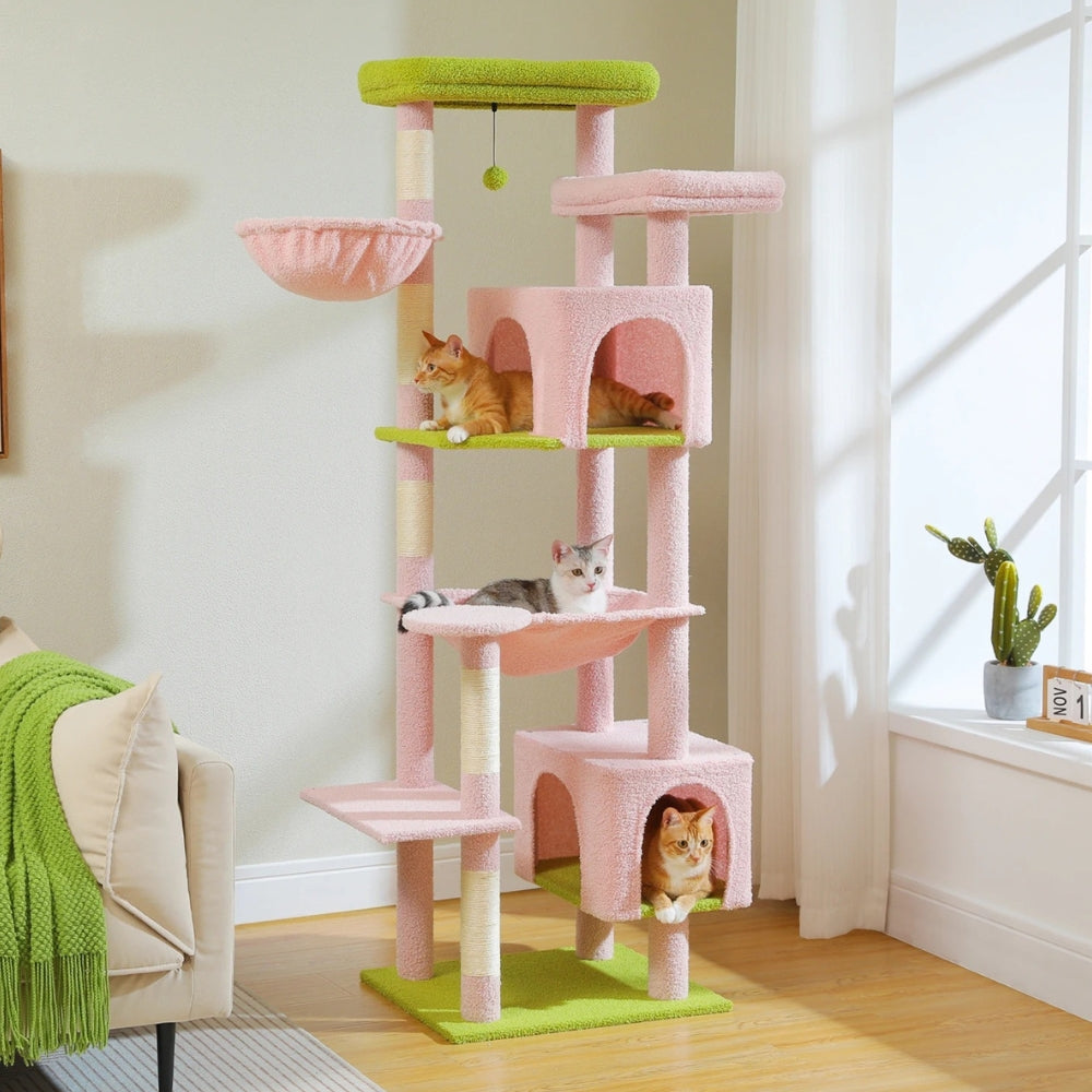 Arbre À Chat - Athéna