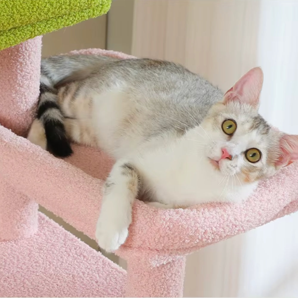 Arbre À Chat - Athéna