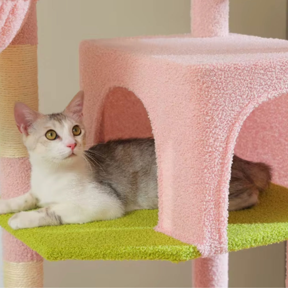 Arbre À Chat - Athéna