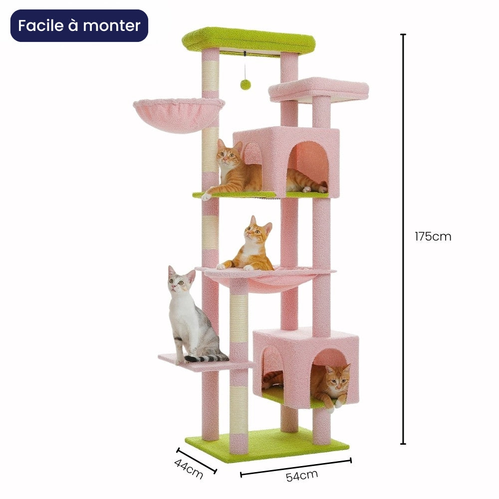 Arbre À Chat - Athéna