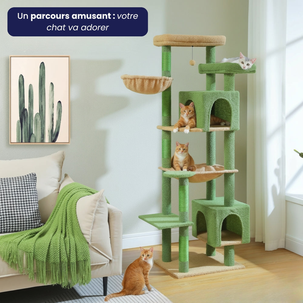 Arbre À Chat - Athéna