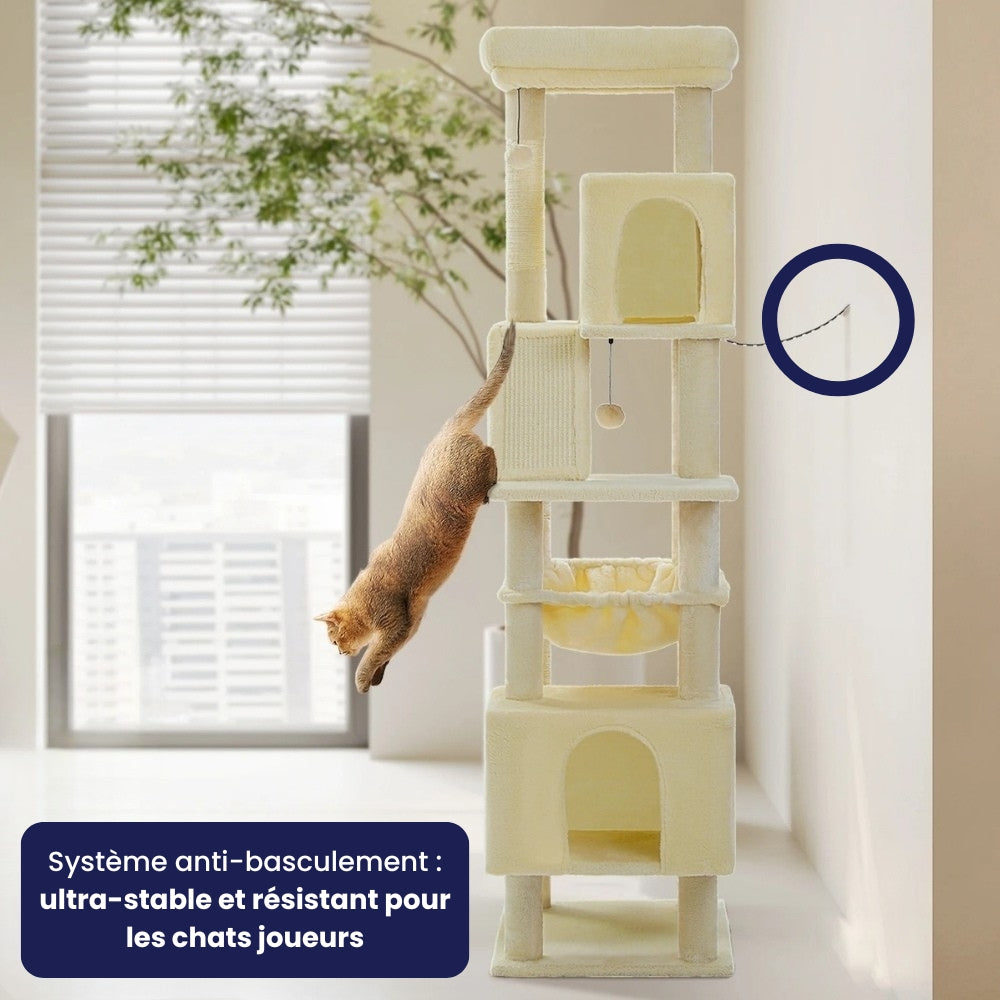 Arbre À Chat - Jacob