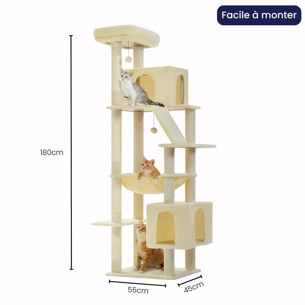 Arbre À Chat - Jacob