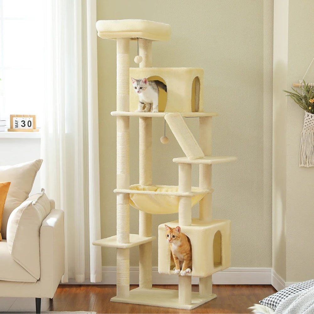 Arbre À Chat - Jacob