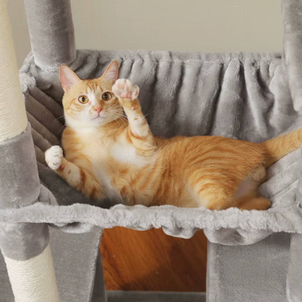 Arbre À Chat - Viky