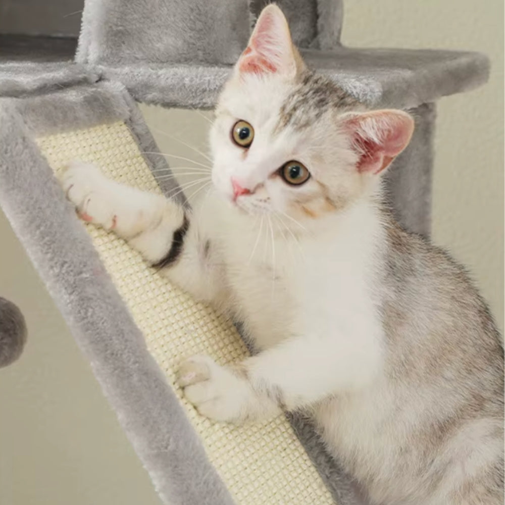 Arbre À Chat - Viky