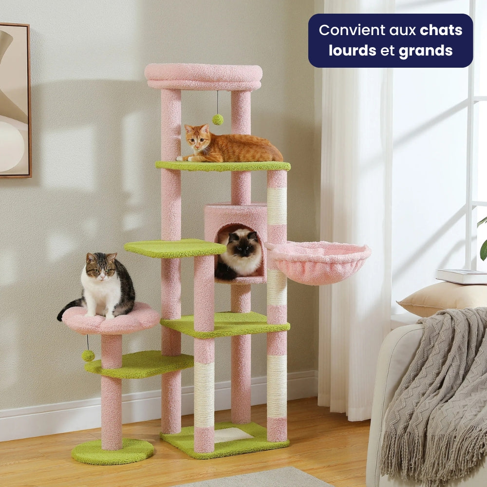 Arbre À Chat - Zouzou