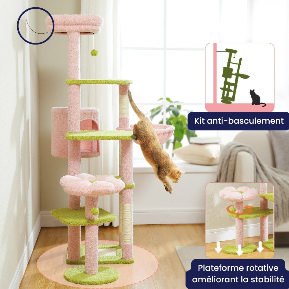 Arbre À Chat - Zouzou