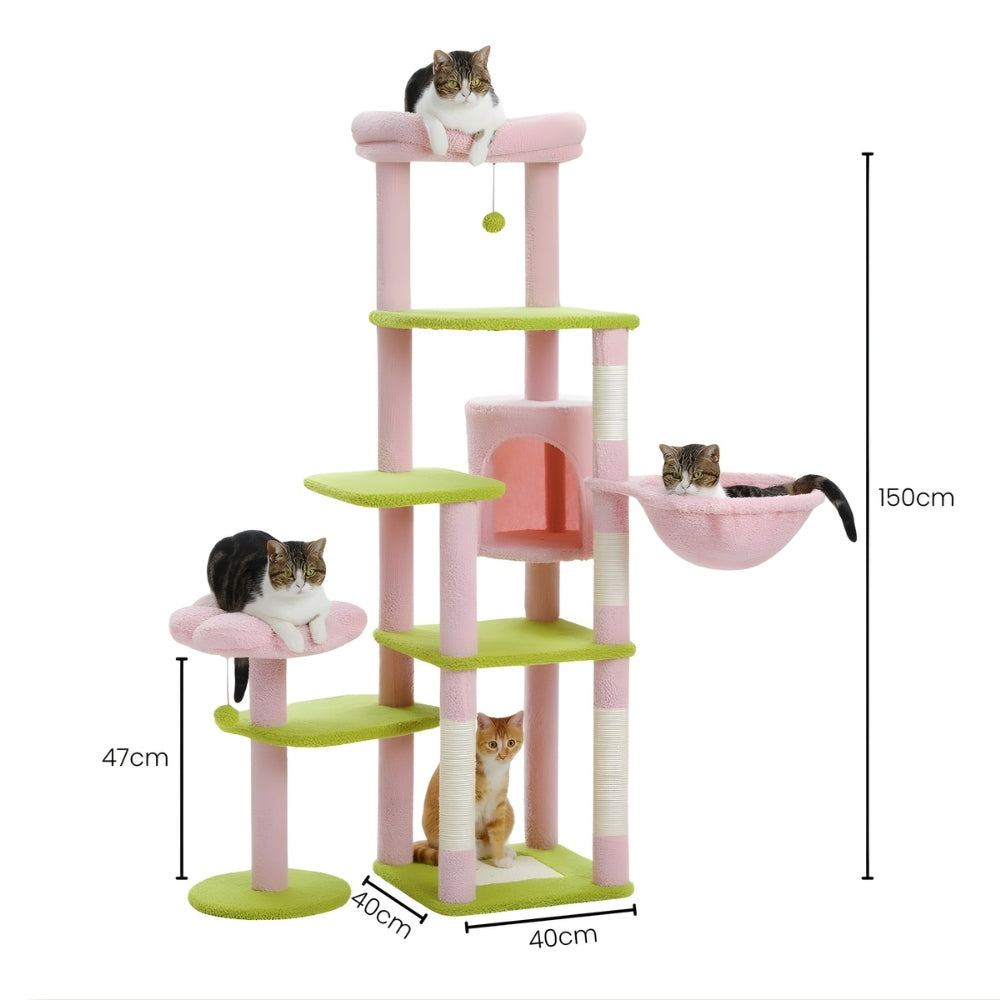 Arbre À Chat - Zouzou