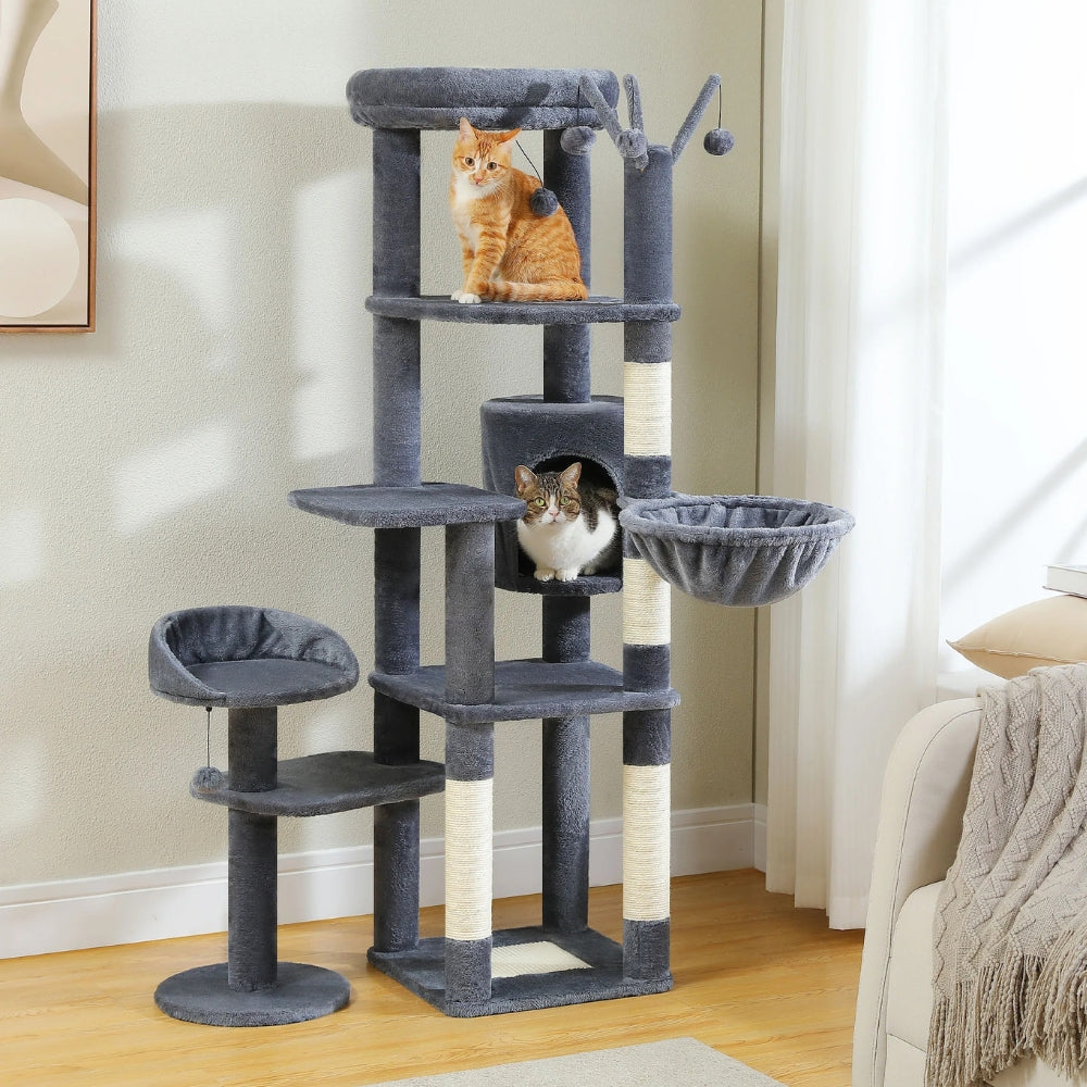 Arbre À Chat - Zouzou