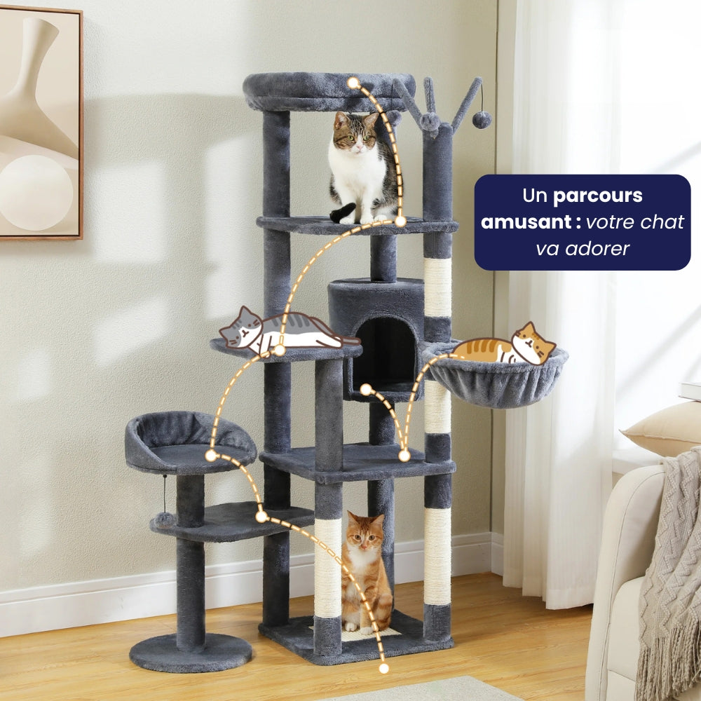 Arbre À Chat - Zouzou