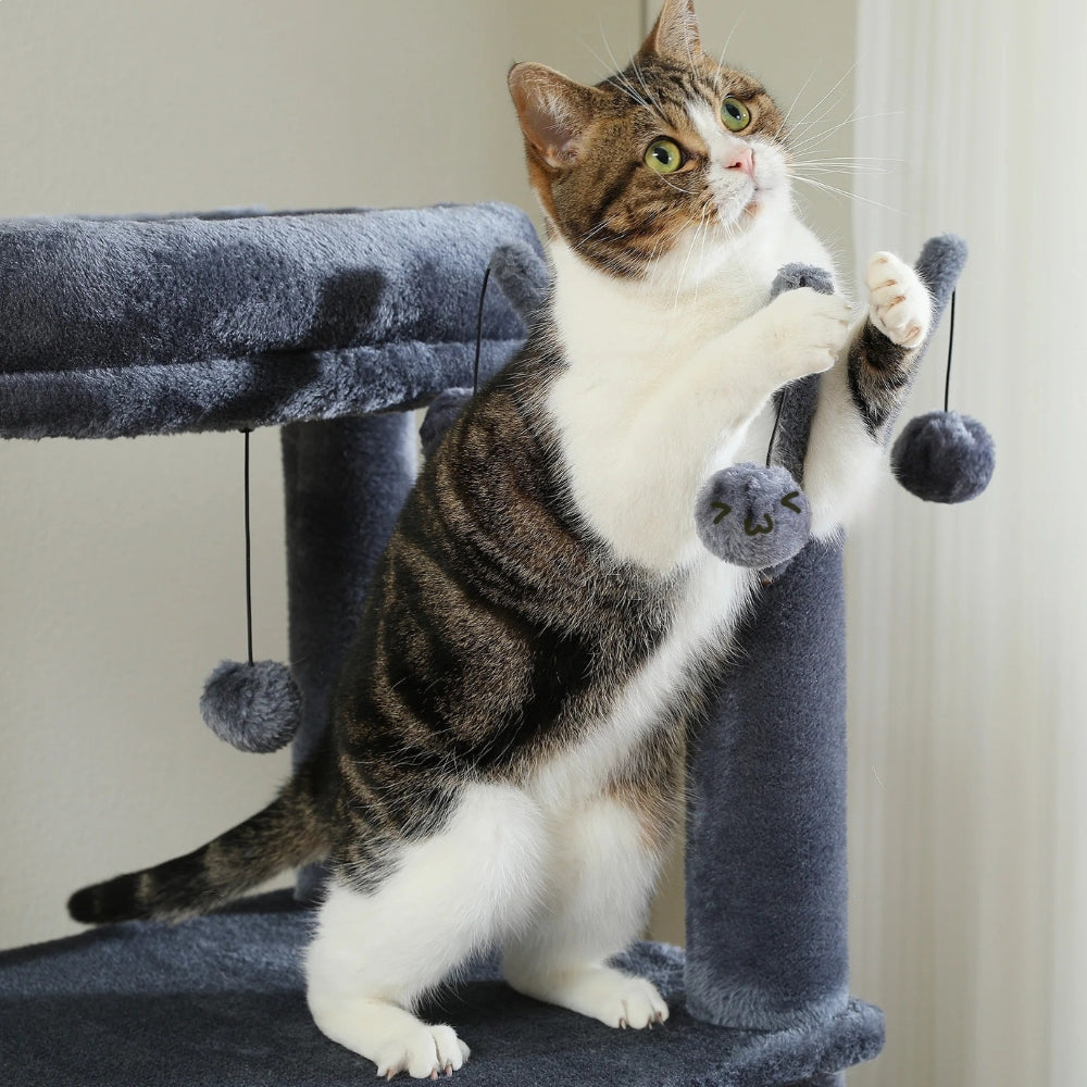 Arbre À Chat - Zouzou