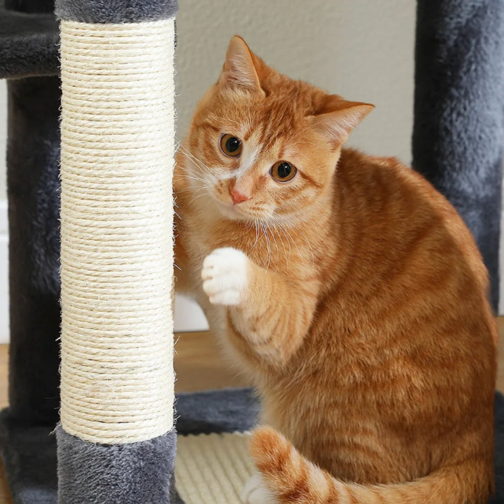 Arbre À Chat - Zouzou