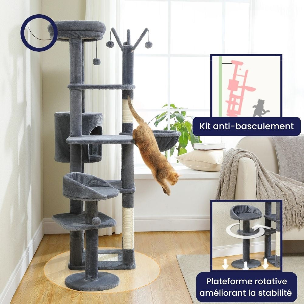 Arbre À Chat - Zouzou