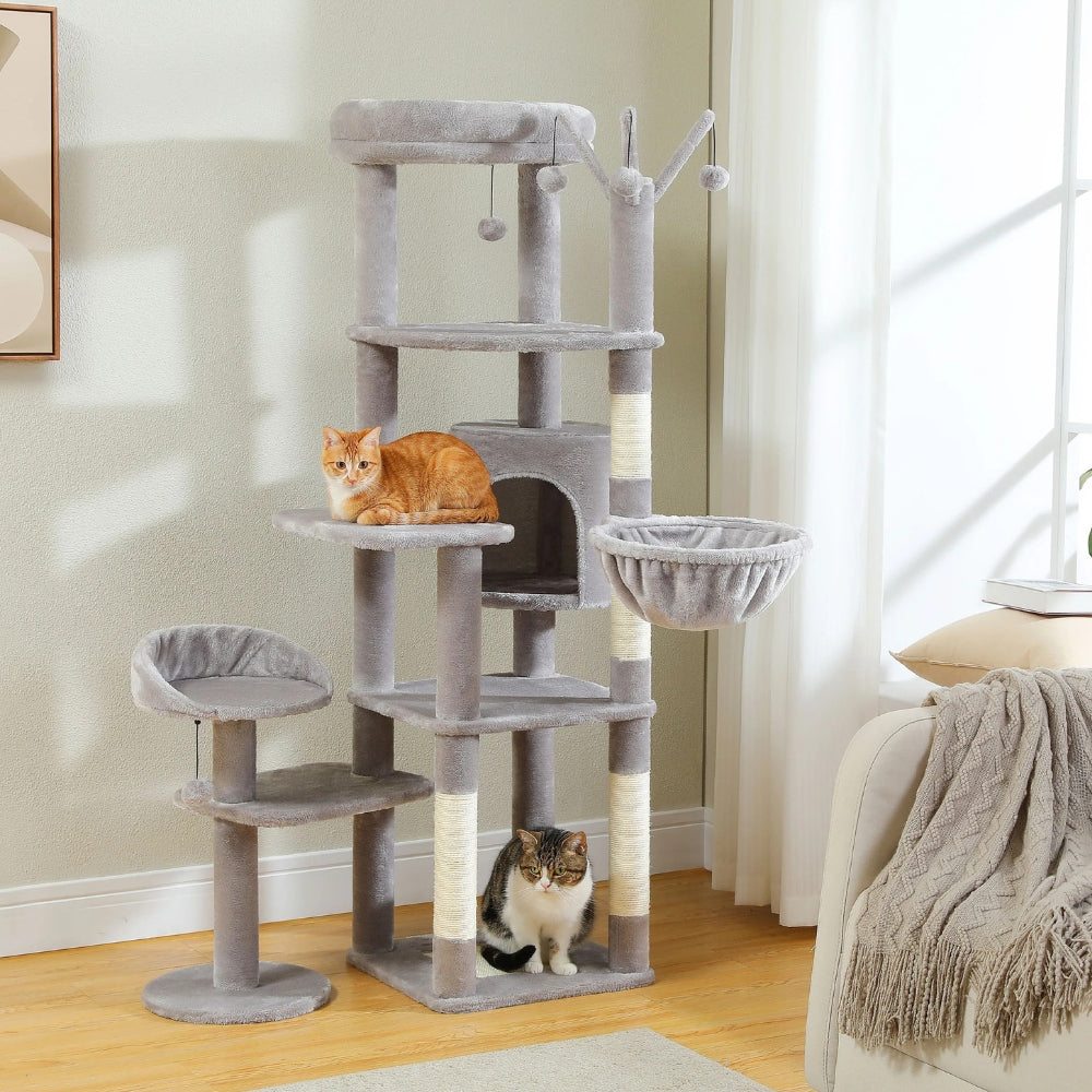 Arbre À Chat - Zouzou