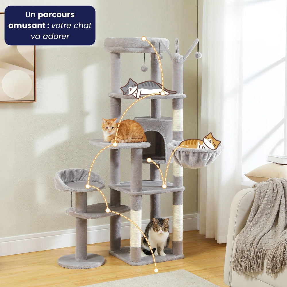 Arbre À Chat - Zouzou