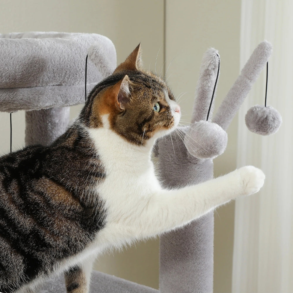 Arbre À Chat - Zouzou