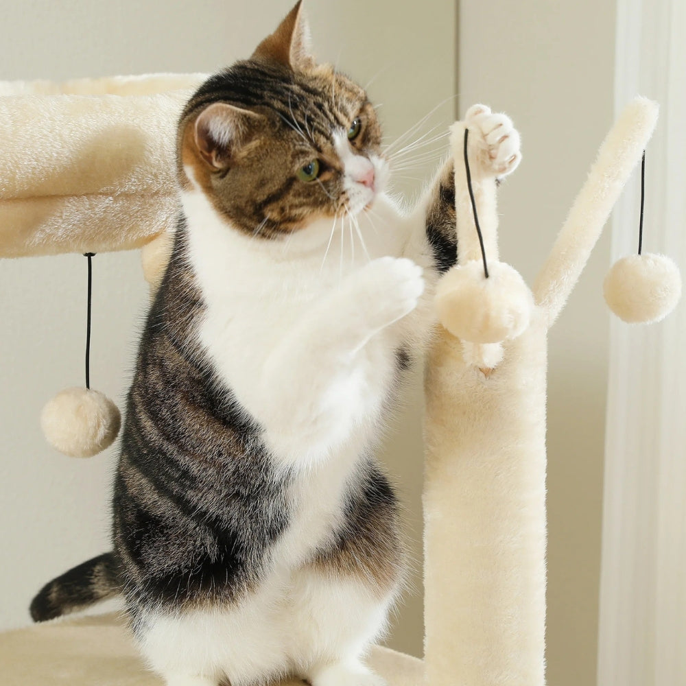 Arbre À Chat - Zouzou