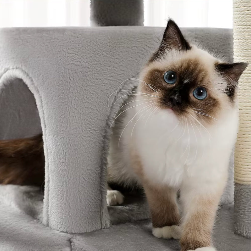 Arbre À Chat - Uriaz