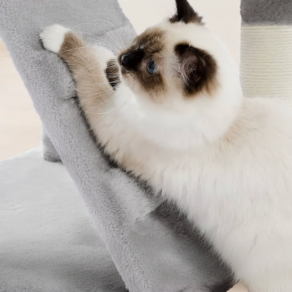 Arbre À Chat - Uriaz