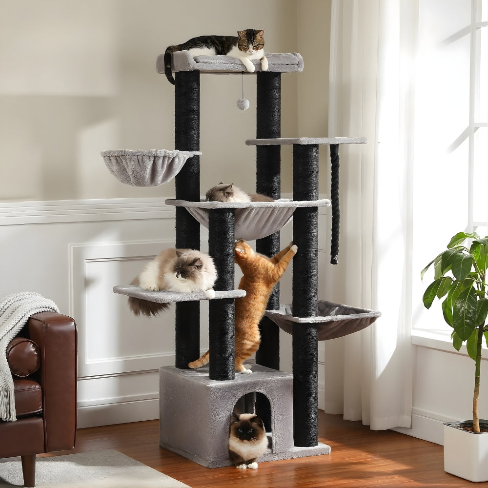 Arbre À Chat - Ulysse