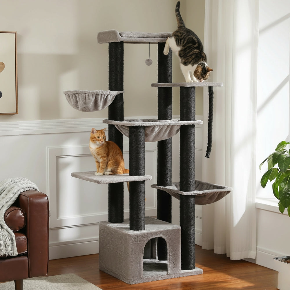 Arbre À Chat - Ulysse