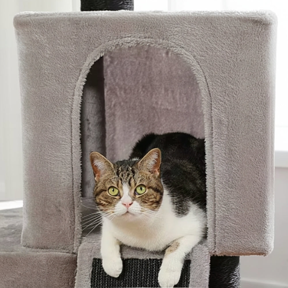 Arbre À Chat - Moka