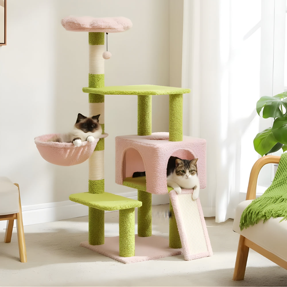 Arbre À Chat - Kimi