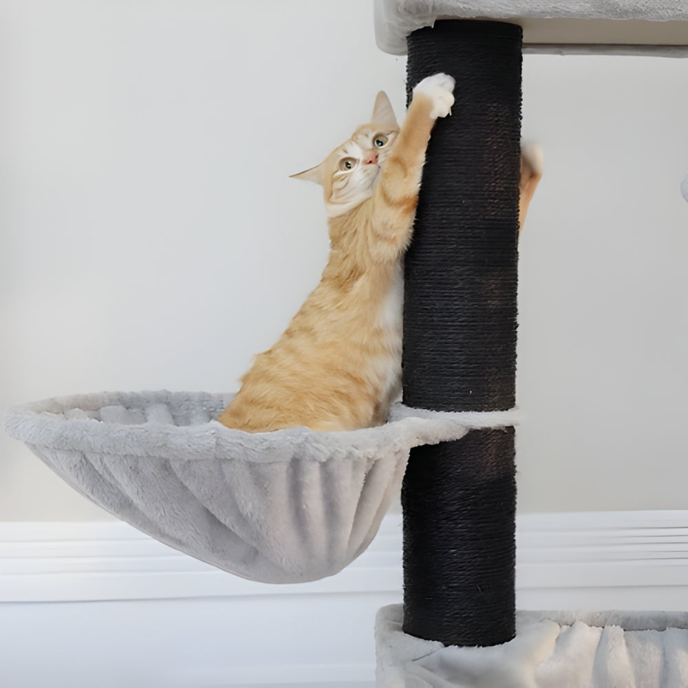 Arbre À Chat - Ulysse