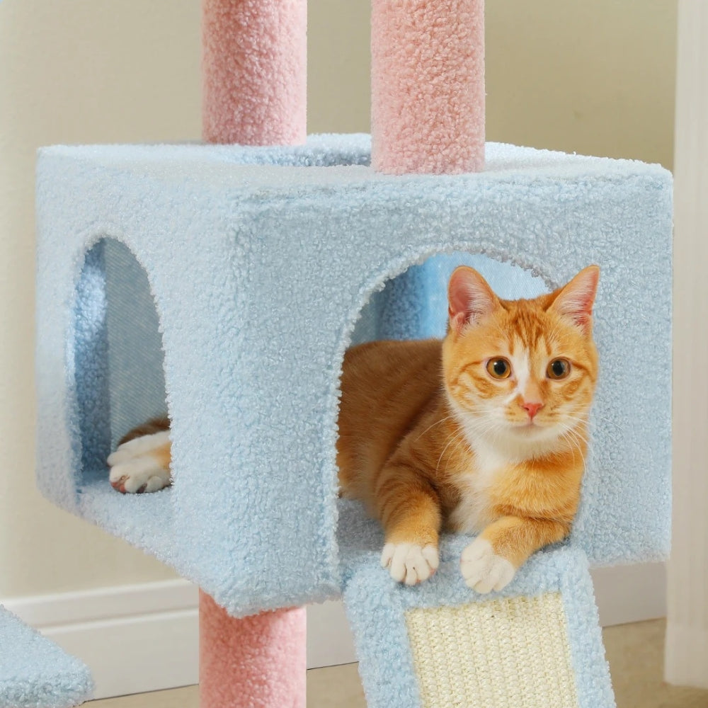 Arbre À Chat - Kimi