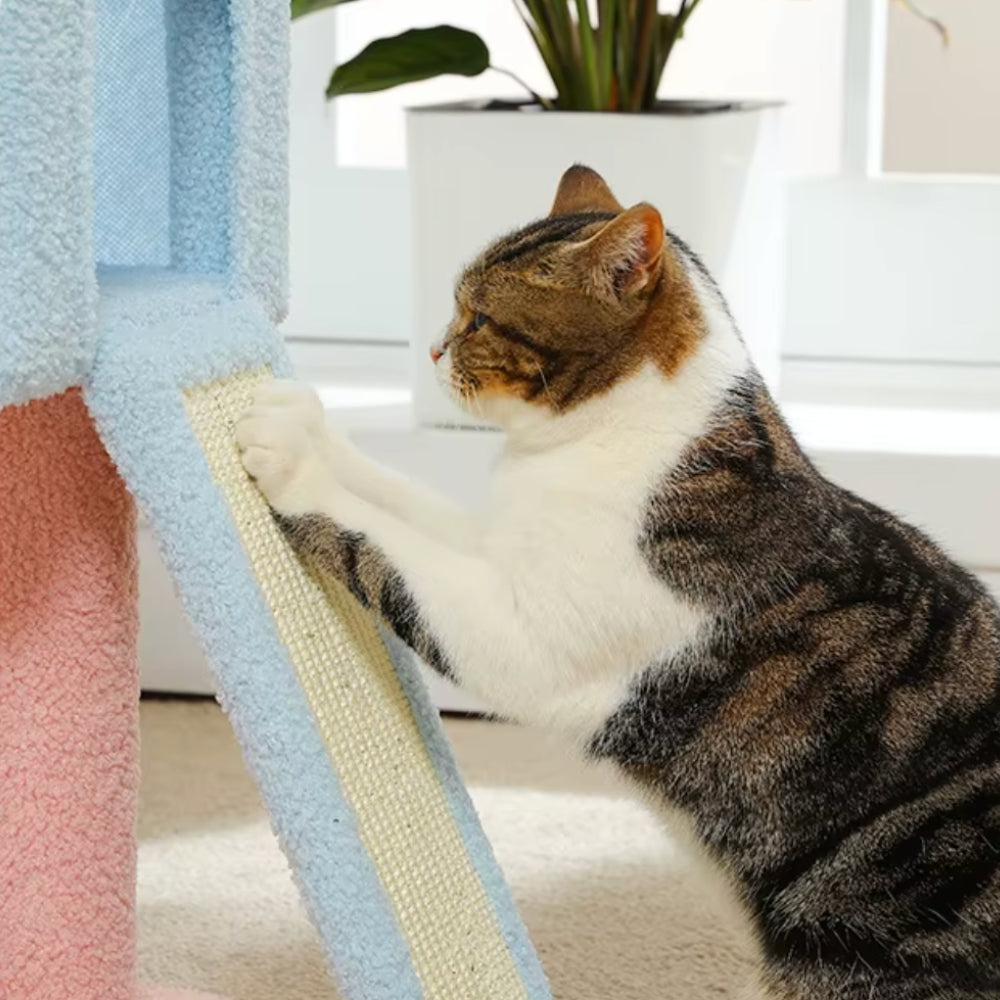 Arbre À Chat - Kimi