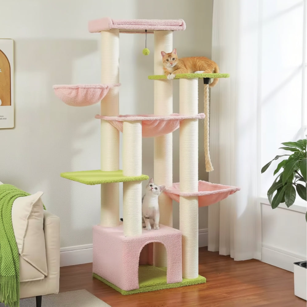 Arbre À Chat - Zakia