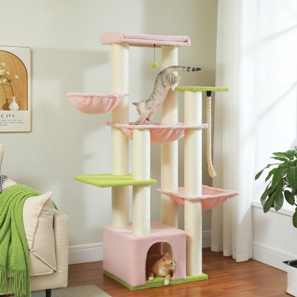 Arbre À Chat - Zakia