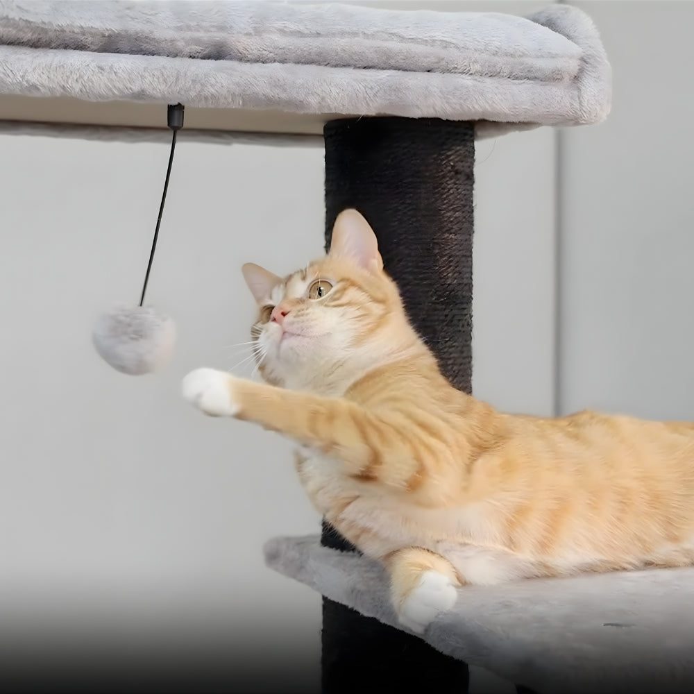 Arbre À Chat - Ulysse