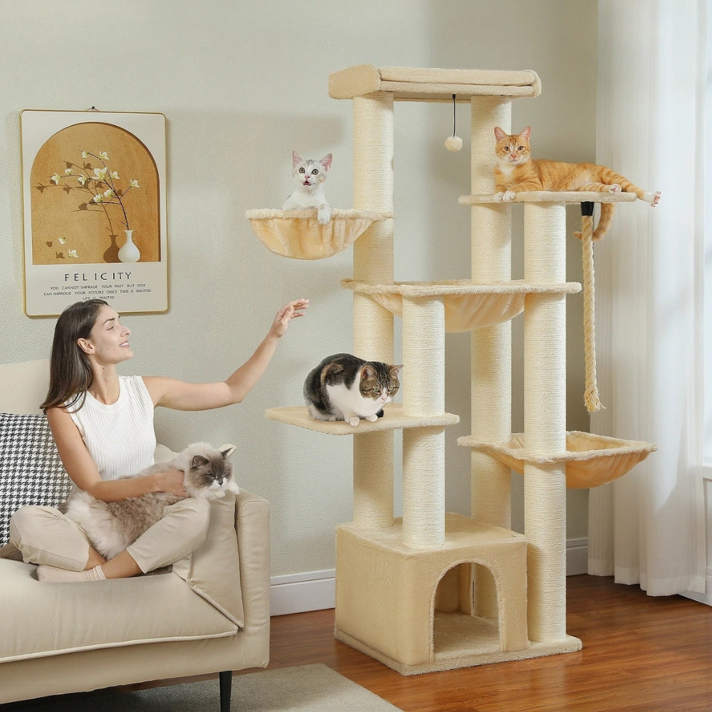 Arbre À Chat - Zakia