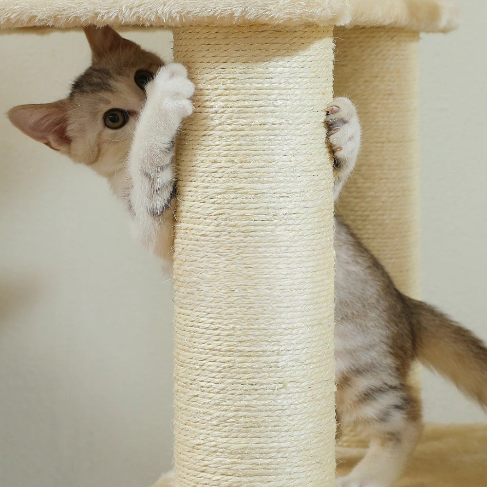 Arbre À Chat - Zakia