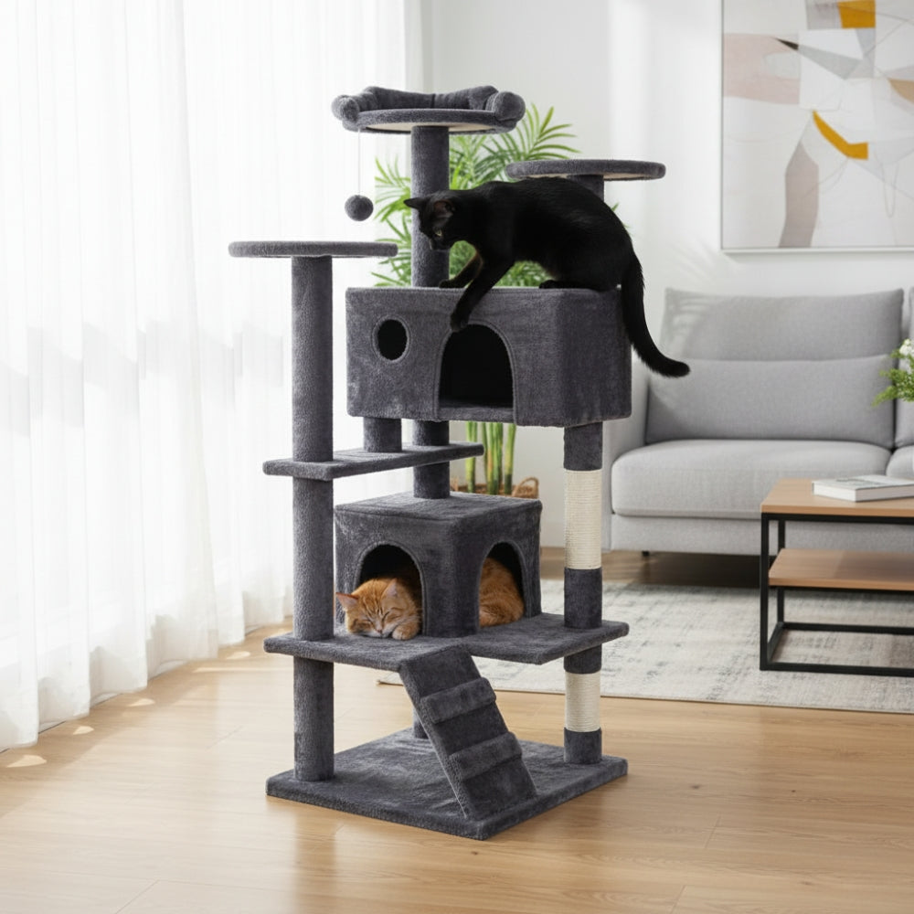 Arbre À Chat - Vanille