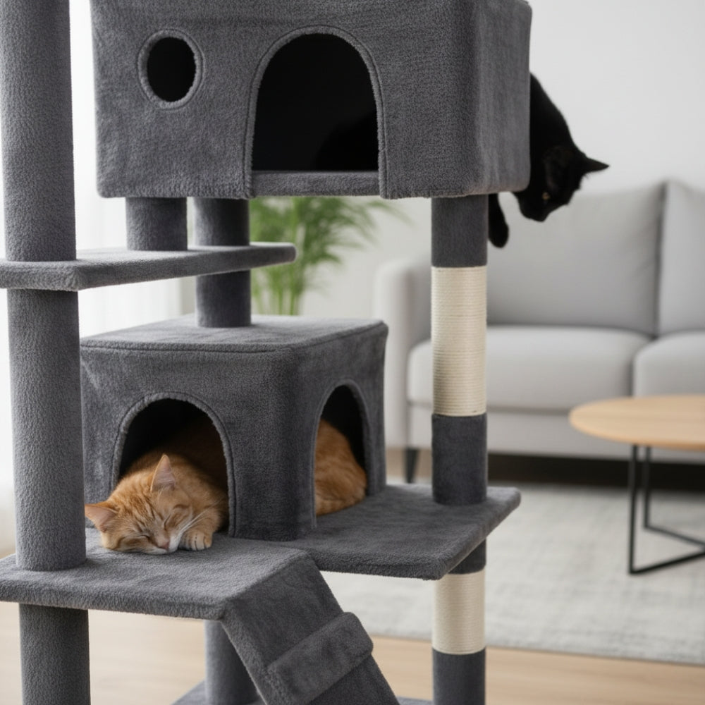 Arbre À Chat - Vanille