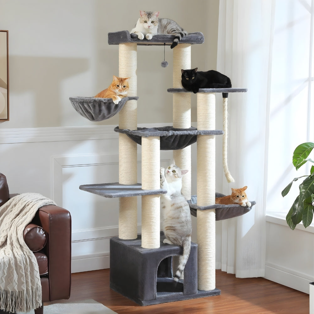 Arbre À Chat - Ulysse