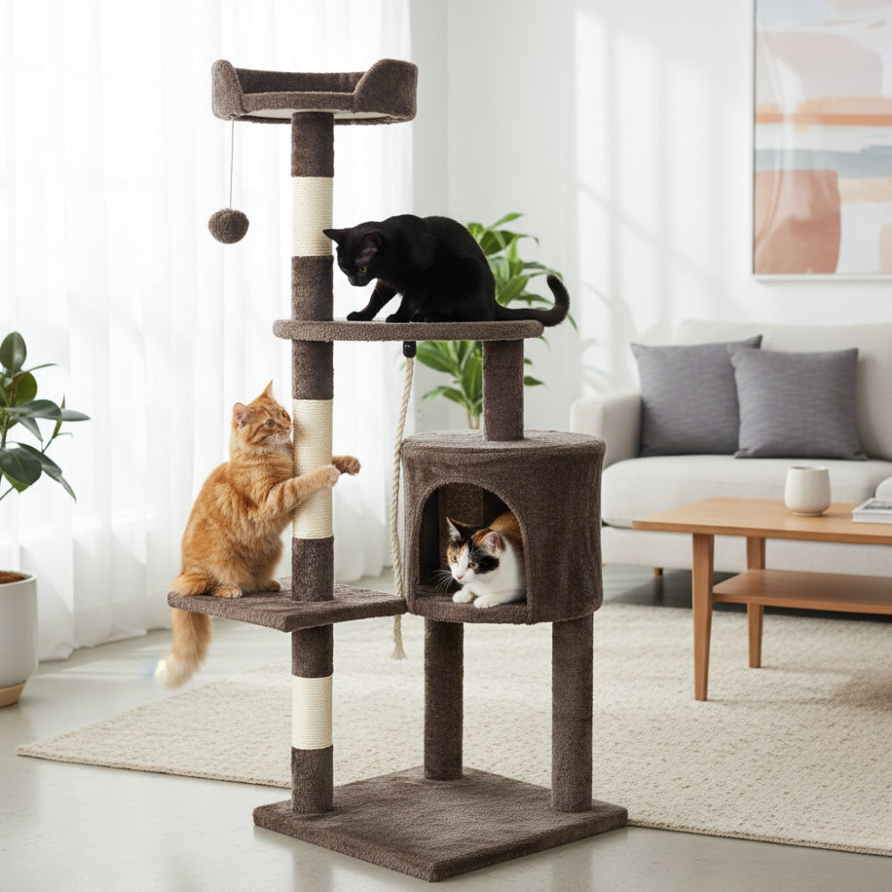 Arbre à Chat - Brownie