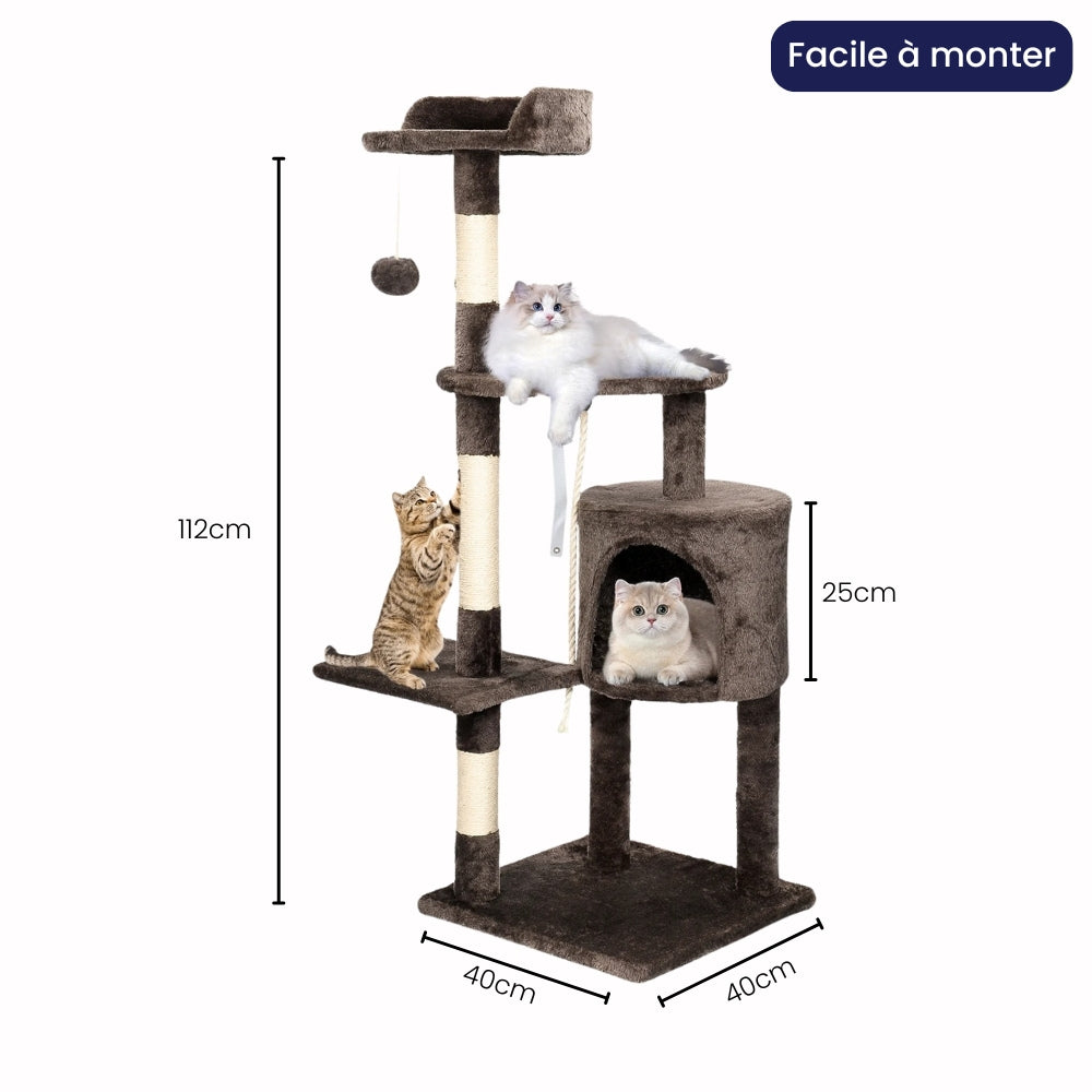 Arbre à Chat - Brownie